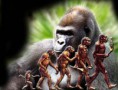 /album/fotogaleria/evolucion-3-jpg/